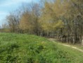 /album/club-canin-acherois/a100-0025-jpg/